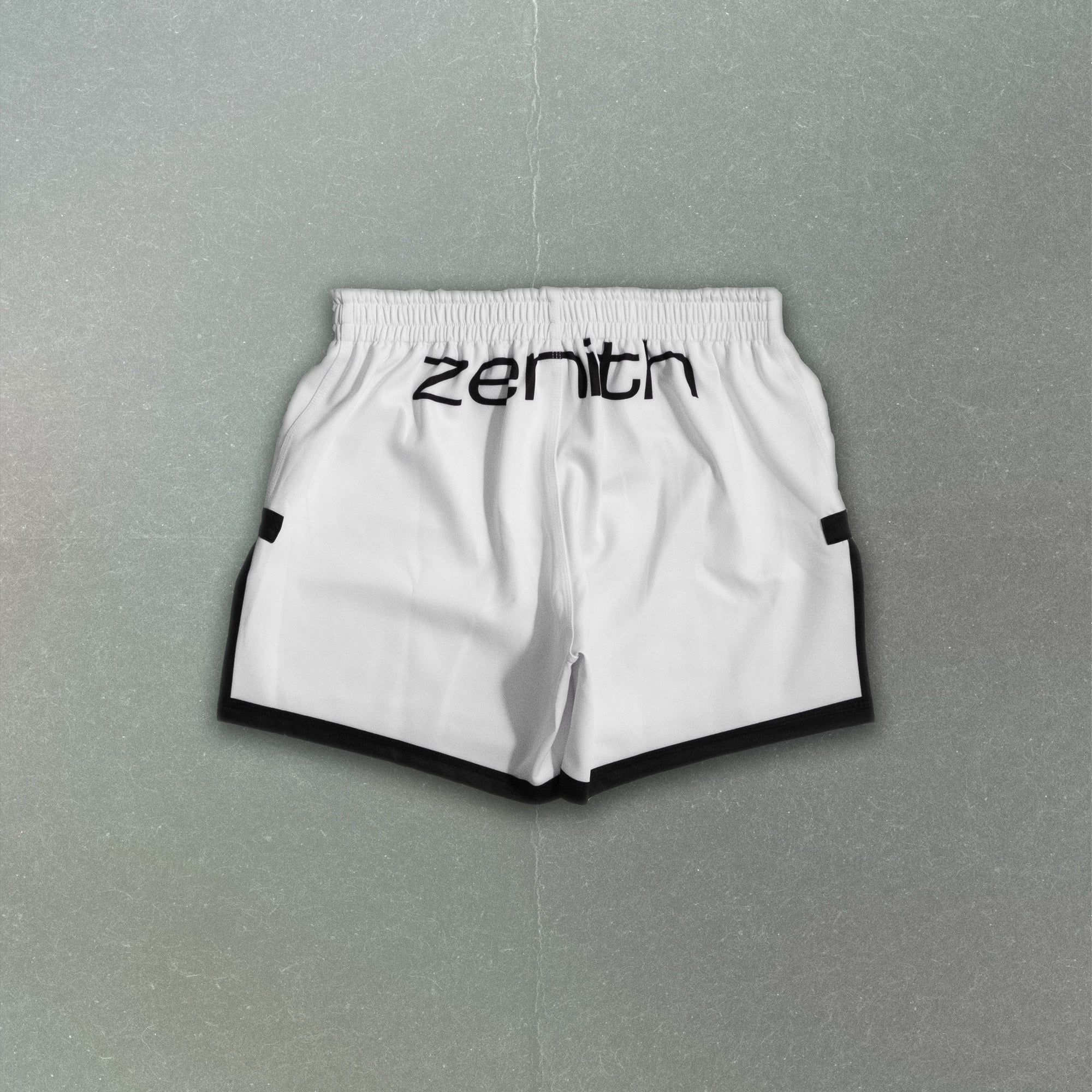 Grappling Shorts | "ARCTIC"